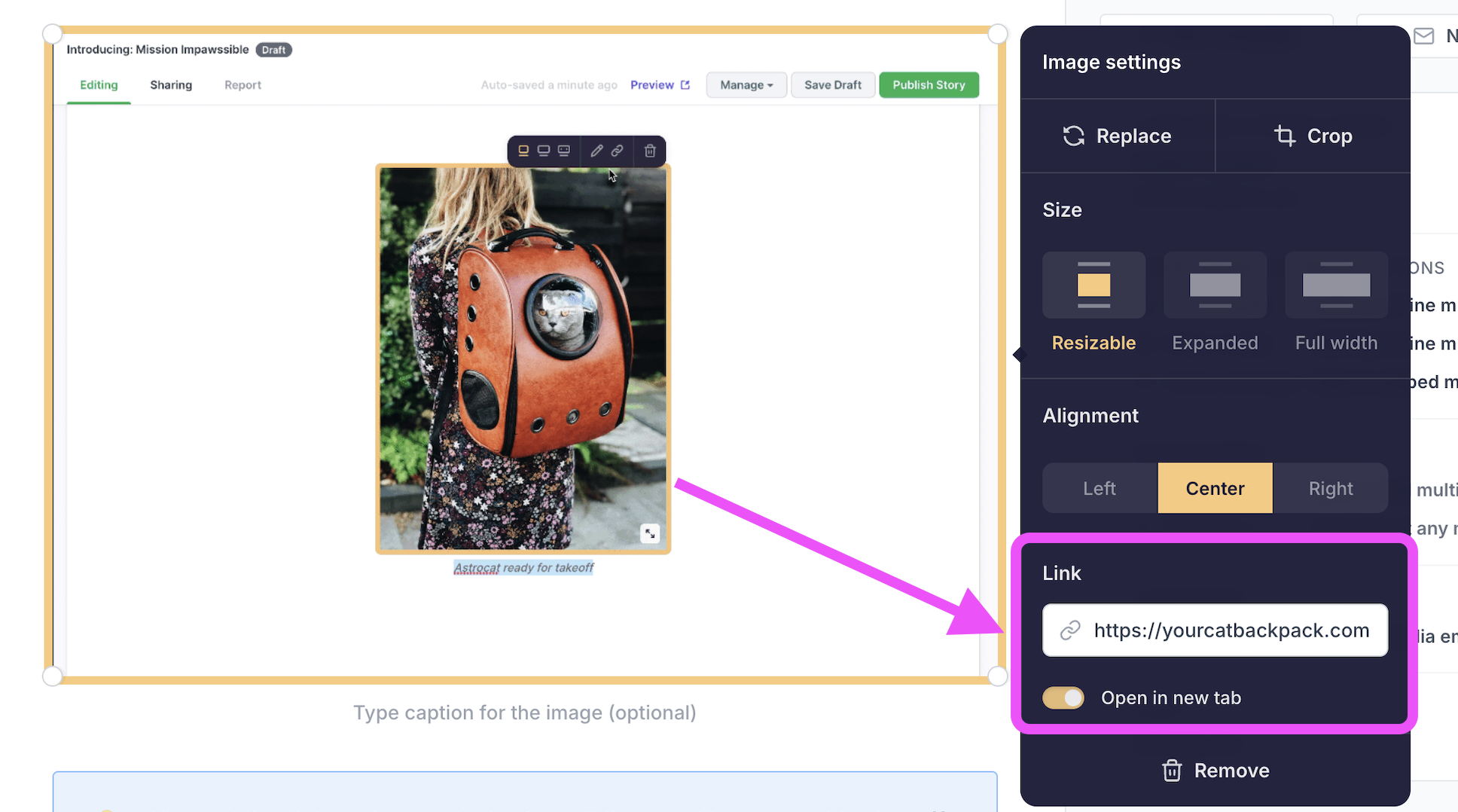 Click on an embedded image to open the image settings menu. Click on an embedded image to open the image settings menu.