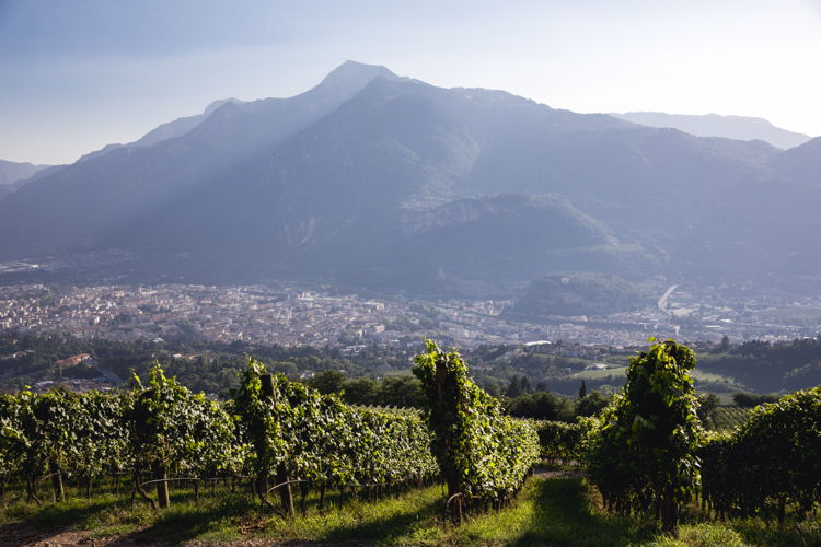 Valle dell'Adige