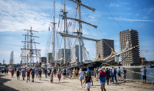 Ontvangst The Tall Ships Races 2022 in Antwerpen gehuldigd met gouden en zilveren BEA Award