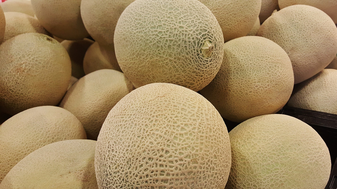 Governor Polis to Proclaim Wednesday, August 7 Rocky Ford Cantaloupe Day in Colorado