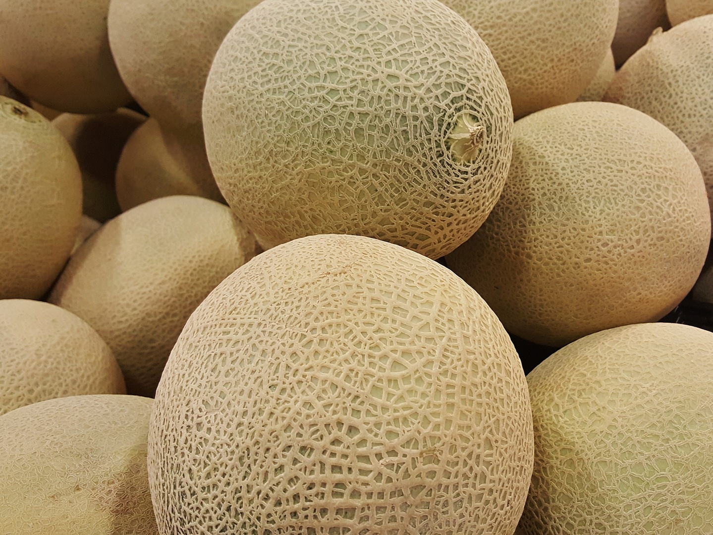 Governor Polis to Proclaim Wednesday, August 7 Rocky Ford Cantaloupe Day in Colorado