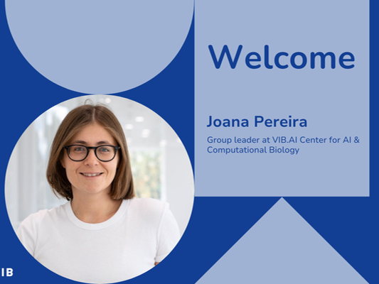 Meet Joana Pereira