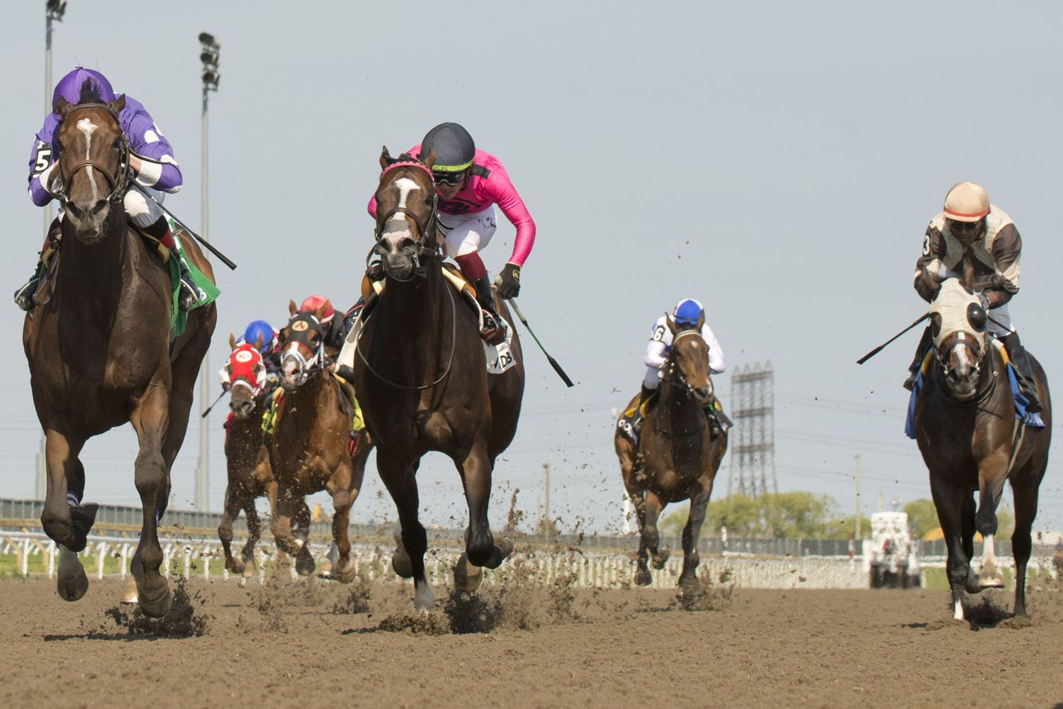 Artie's Storm and jockey David Moran winning the 2022 Eclipse Stakes (Michael Burns Photo)
