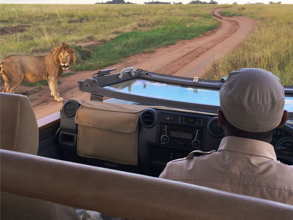 Tanzania Safari Experience 2019. Foto: Cortesía de Inspirato