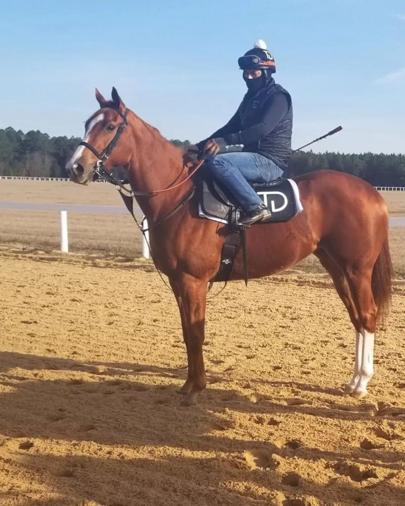 Barb Minshall trainee readying in the U.S. ahead of the upcoming 2023 Woodbine racing season