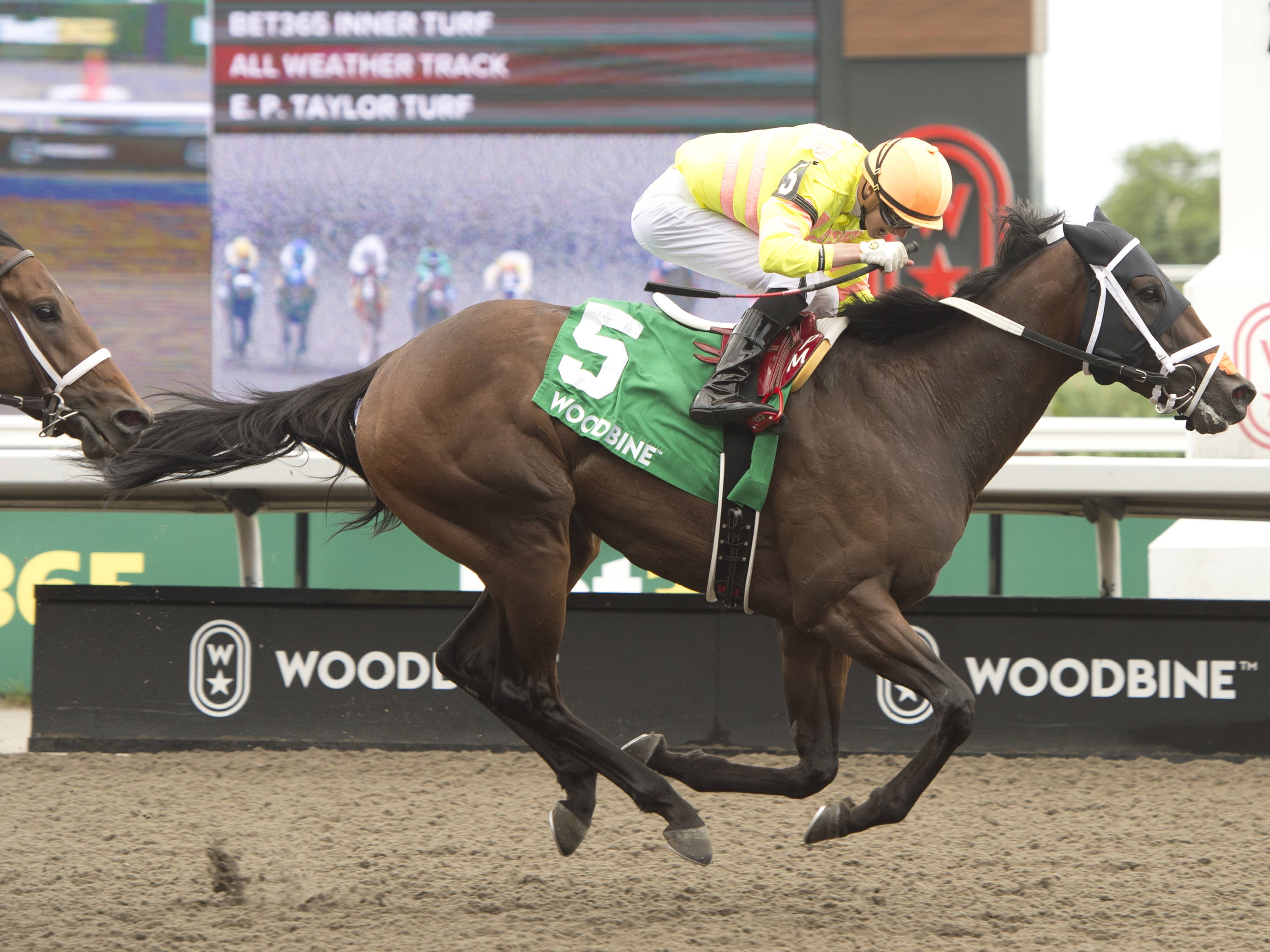 Mansetti powers to Grade 3 HPIbet Marine score