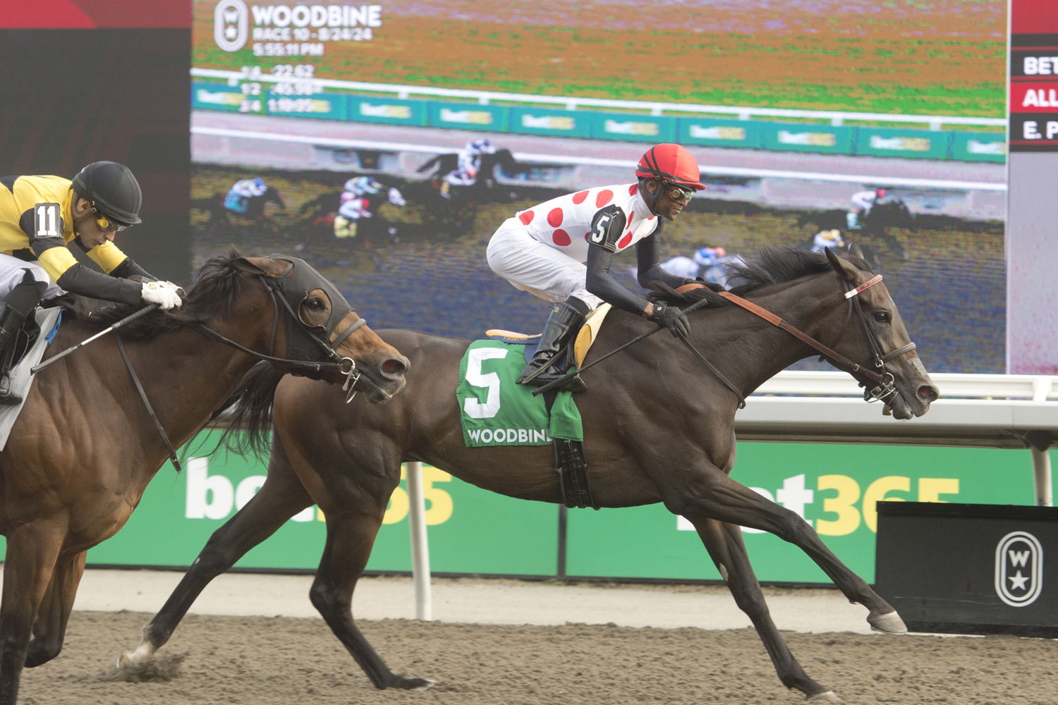 Ticker Tape Home and jockey Patrick Husbands winning the Seaway Stakes on August 24, 2024 at Woodbine (Michael Burns Photo)