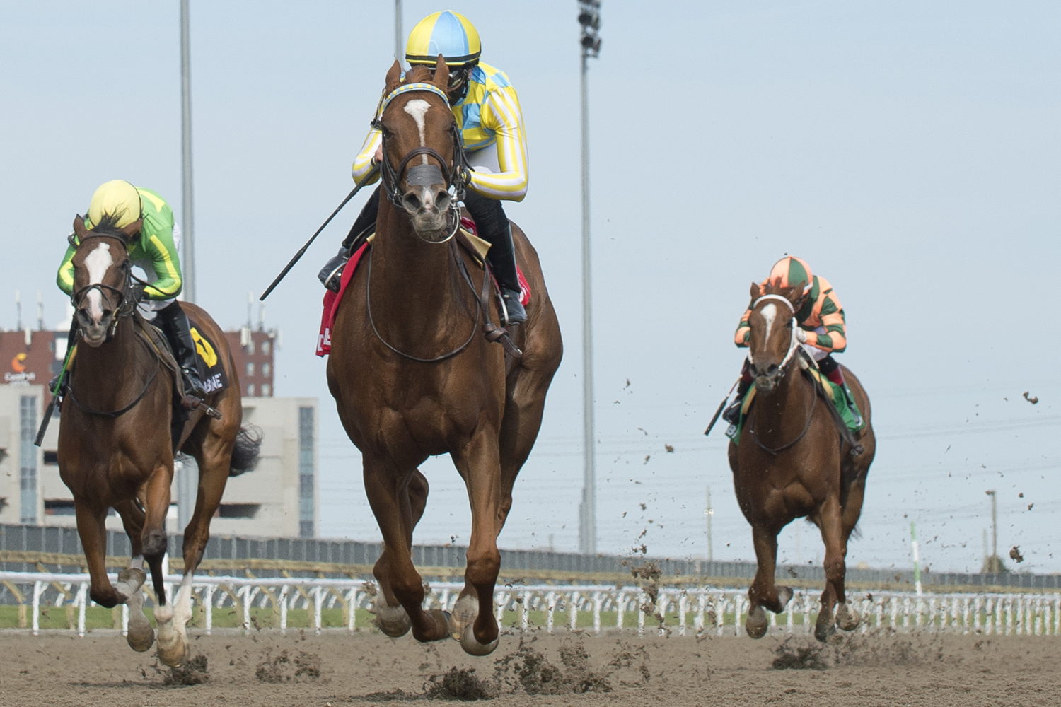 Beautiful Empire (centre), with jockey Emma-Jayne Wilson, winning the 2022 Star Shoot Stakes . (Michael Burns Photo)