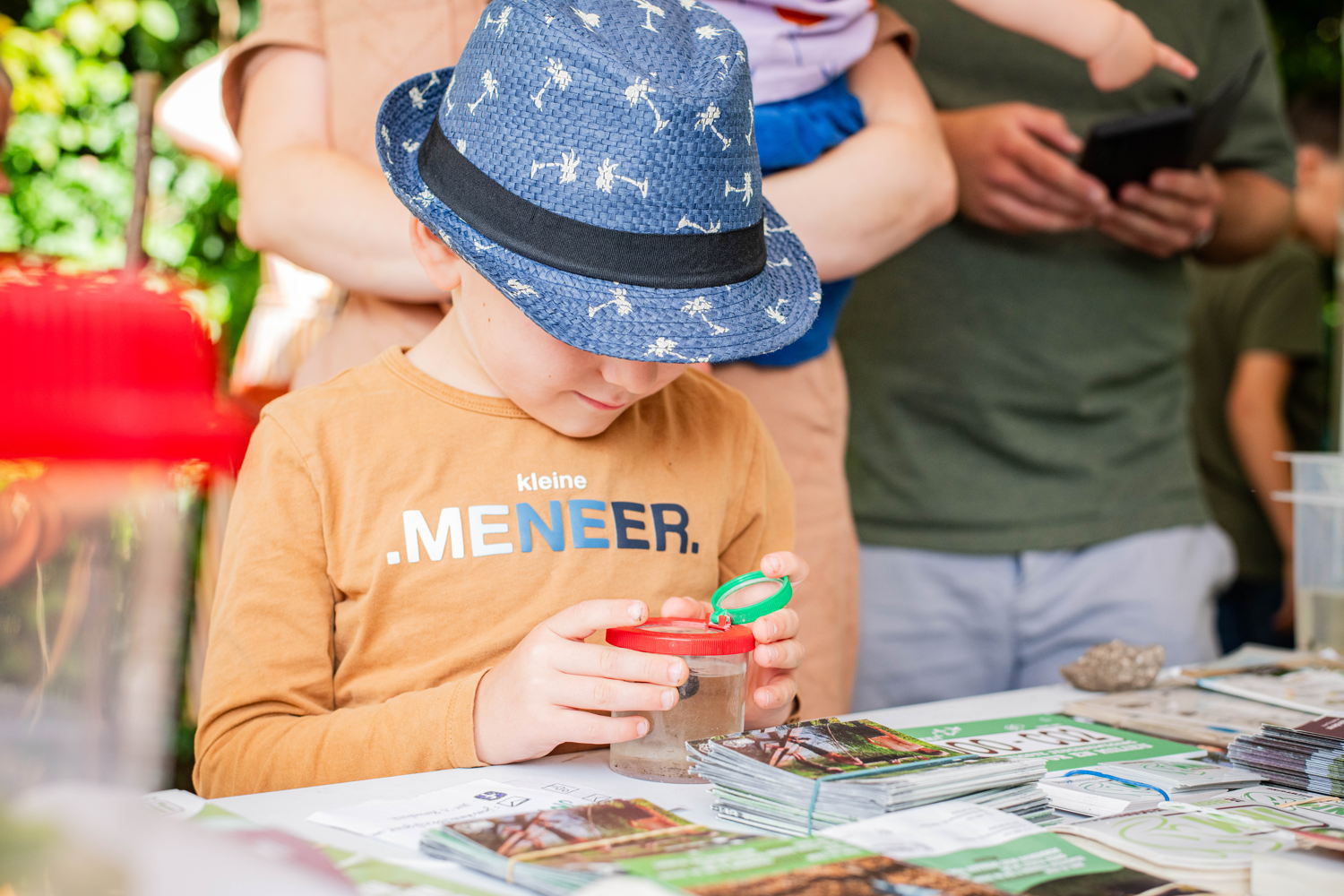 Baasrode - telling en identificatie van kleine waterdiertjes