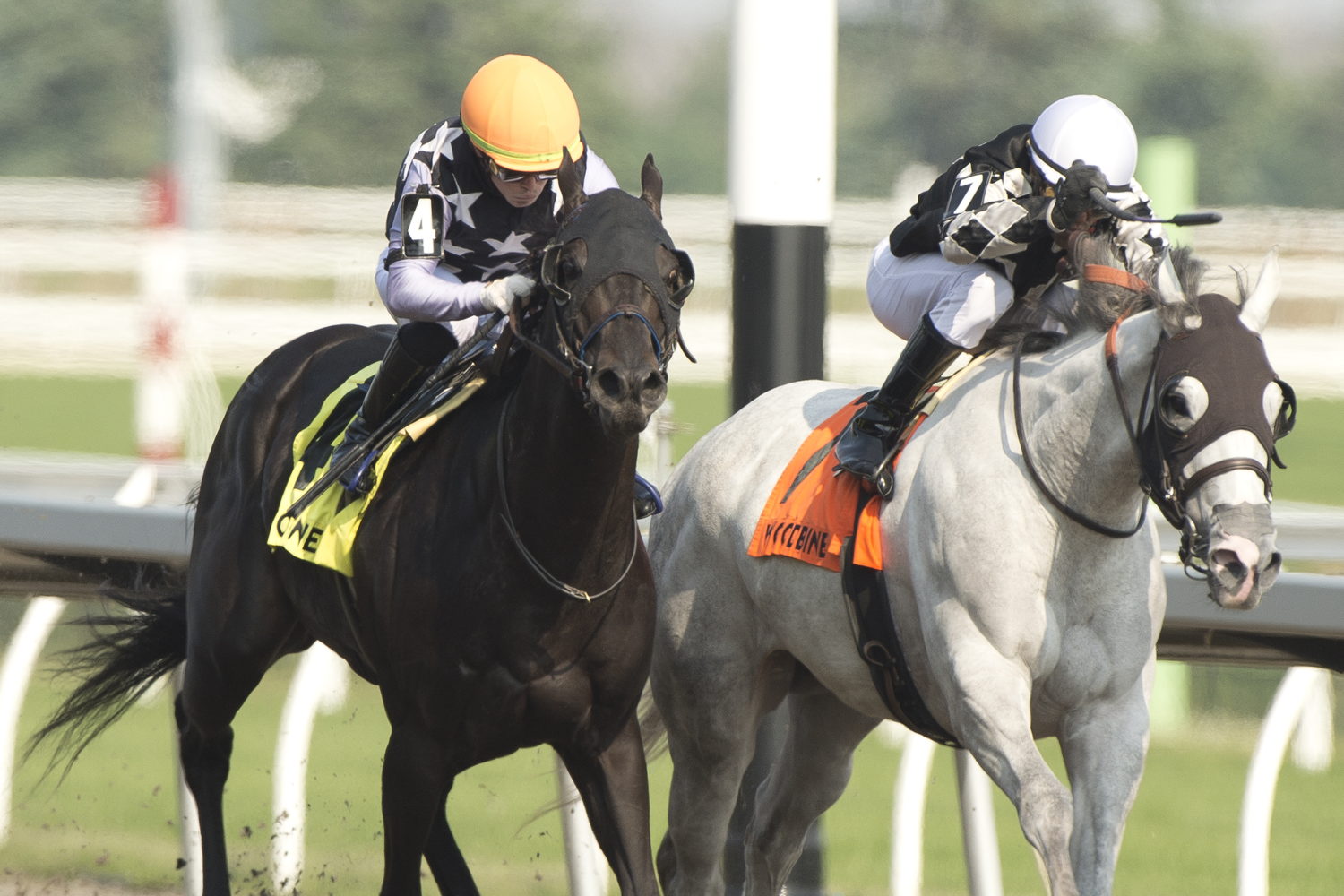 Notorious Gangster and jockey Fraser Aebly winning the Queenston Stakes on June 8, 2025 at Woodbine (Michael Burns Photo)