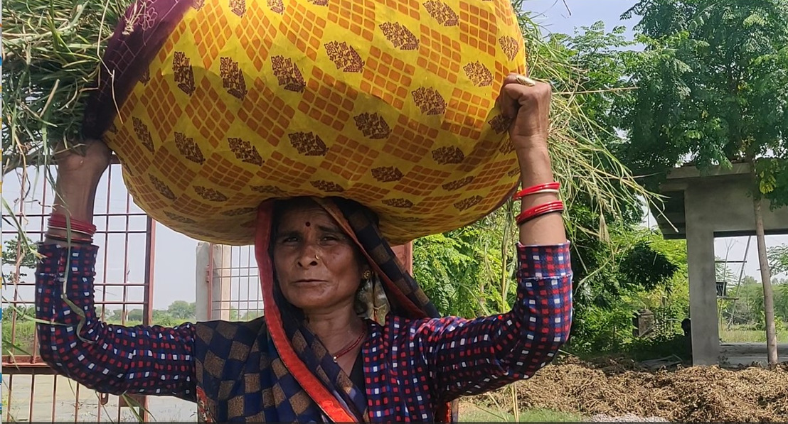 Improved water management practices empower women in the drylands of India