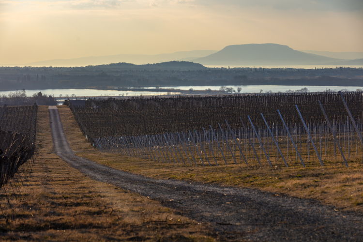 Southern Balaton 