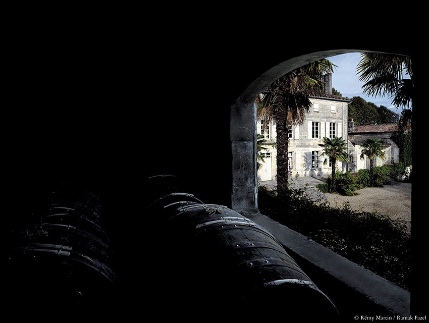 Bodega LOUIS XIII