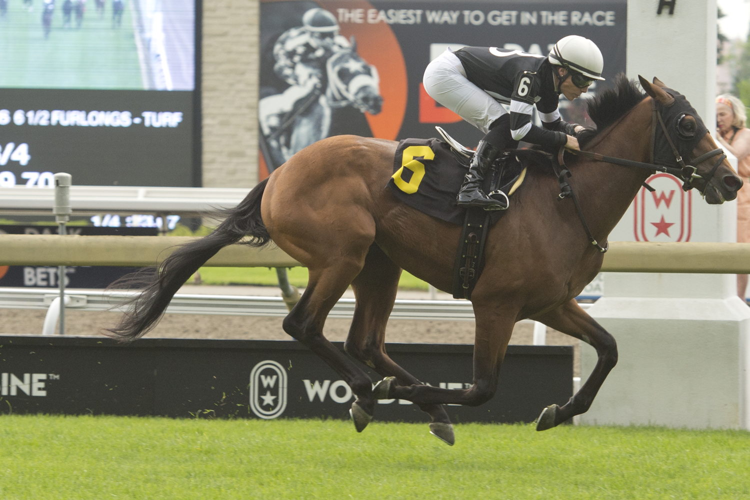 Tunechi and jockey Emma-Jayne Wilson winning Race 6 on July 23, 2023 at Woodbine (Michael Burns Photo)