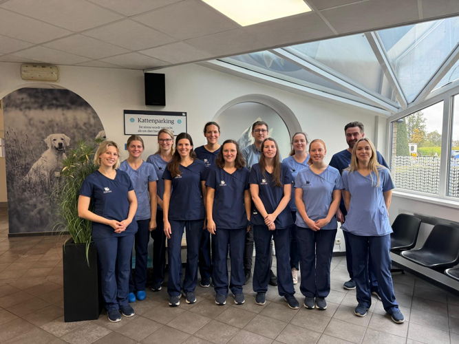 Team AniCura Dierenkliniek De Vliet