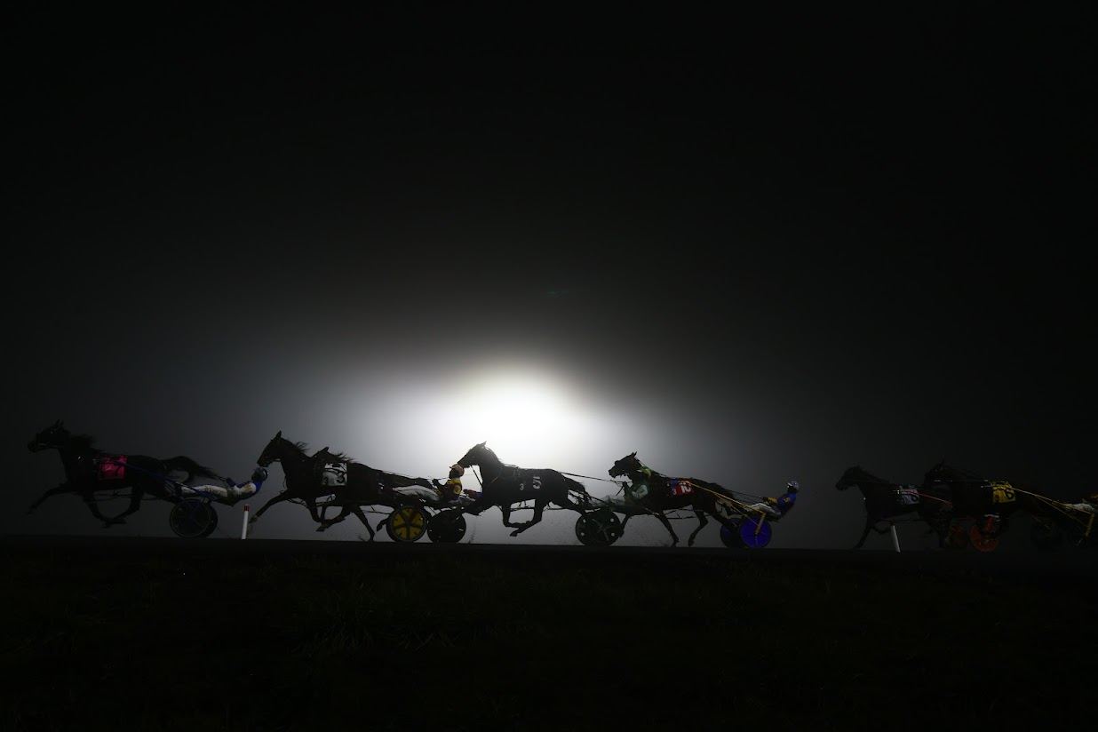 Woodbine Mohawk Park (New Image Media)