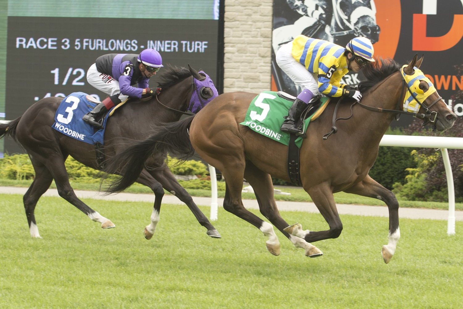 Patches O’Houlihan and jockey Daisuke Fukumoto winning the Lake Huron Stakes on July 8, 2023 at Woodbine (Michael Burns Photo)