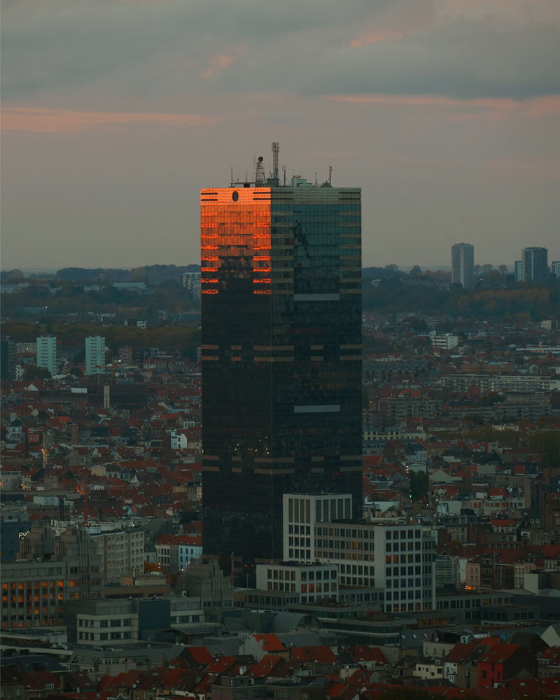© Sander Muylaert (254 Forest)