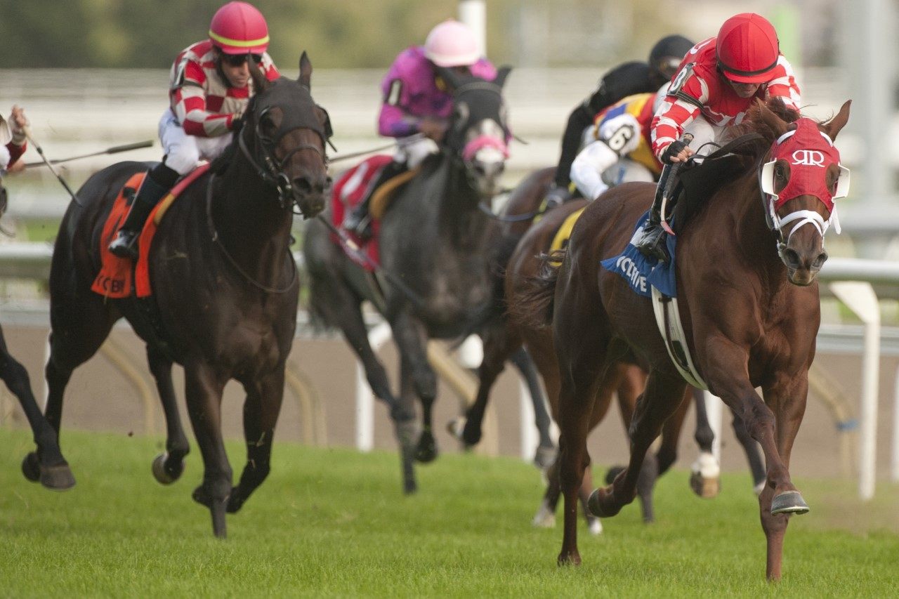 Munnyfor Ro much the best in the 2021 edition of the Wonder Where Stakes at Woodbine. (Michael Burns Photo)