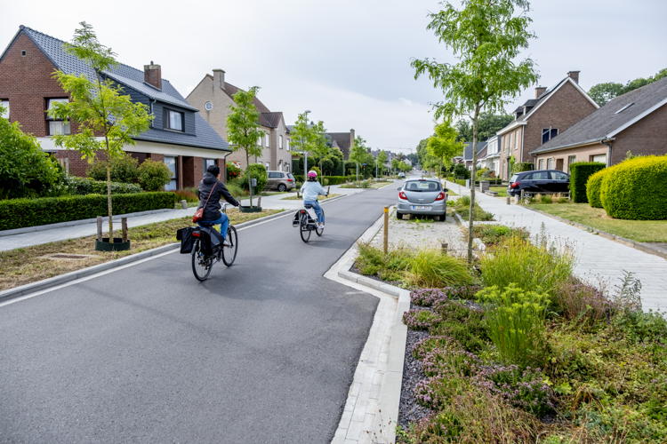 Ontharding in de heraangelegde Wilsonlaan