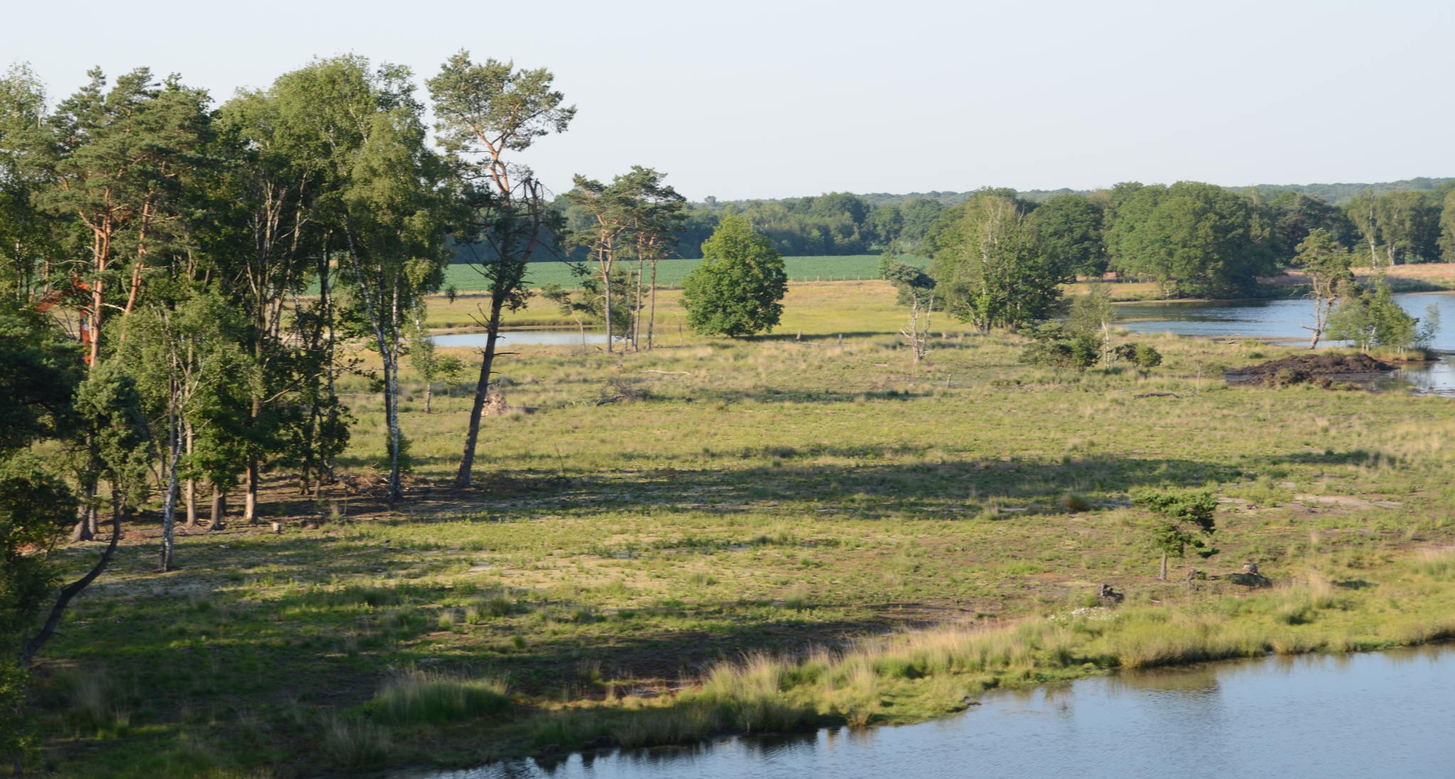 Eerste driemaandelijkse rapportering intendant maatwerkgebieden