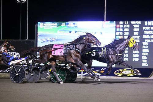 Celebrity Bambino Grabs Spotlight In Canadian Trotting Classic