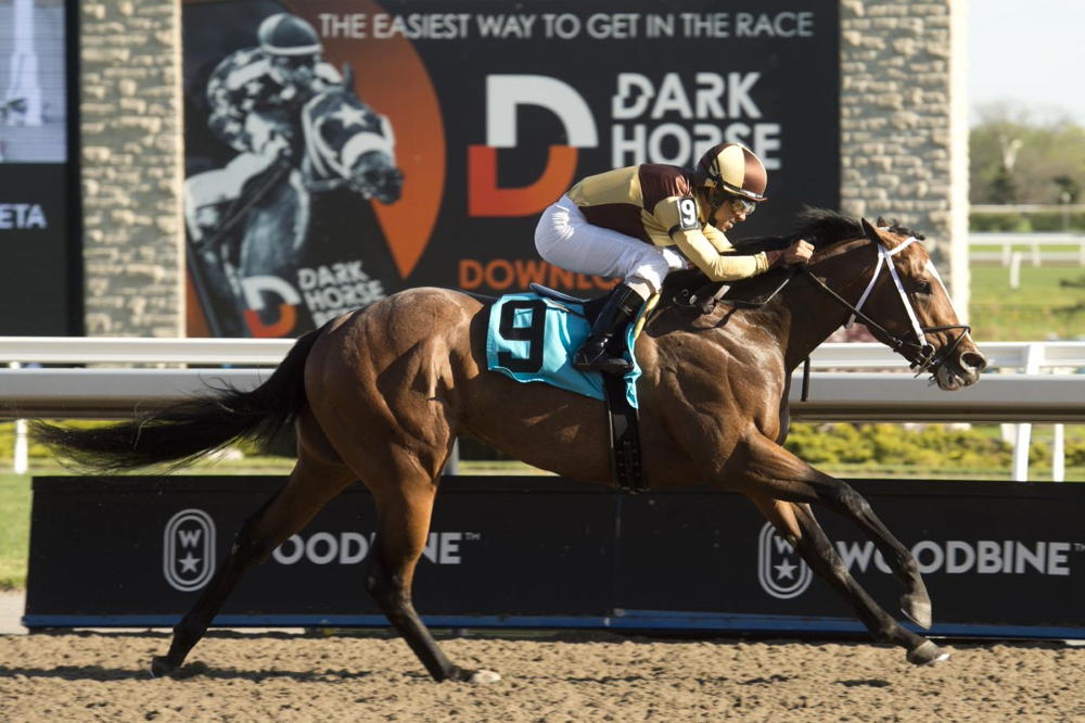 Rondure, with Shaun Bridgmohan, winning on May 14, 2022 at Woodbine. (Michael Burns Photo)