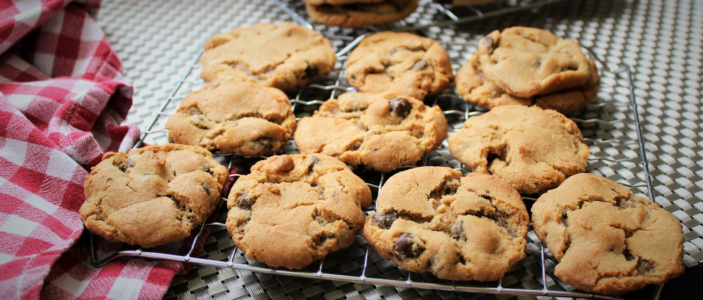 OneTrust cookie consent integration
