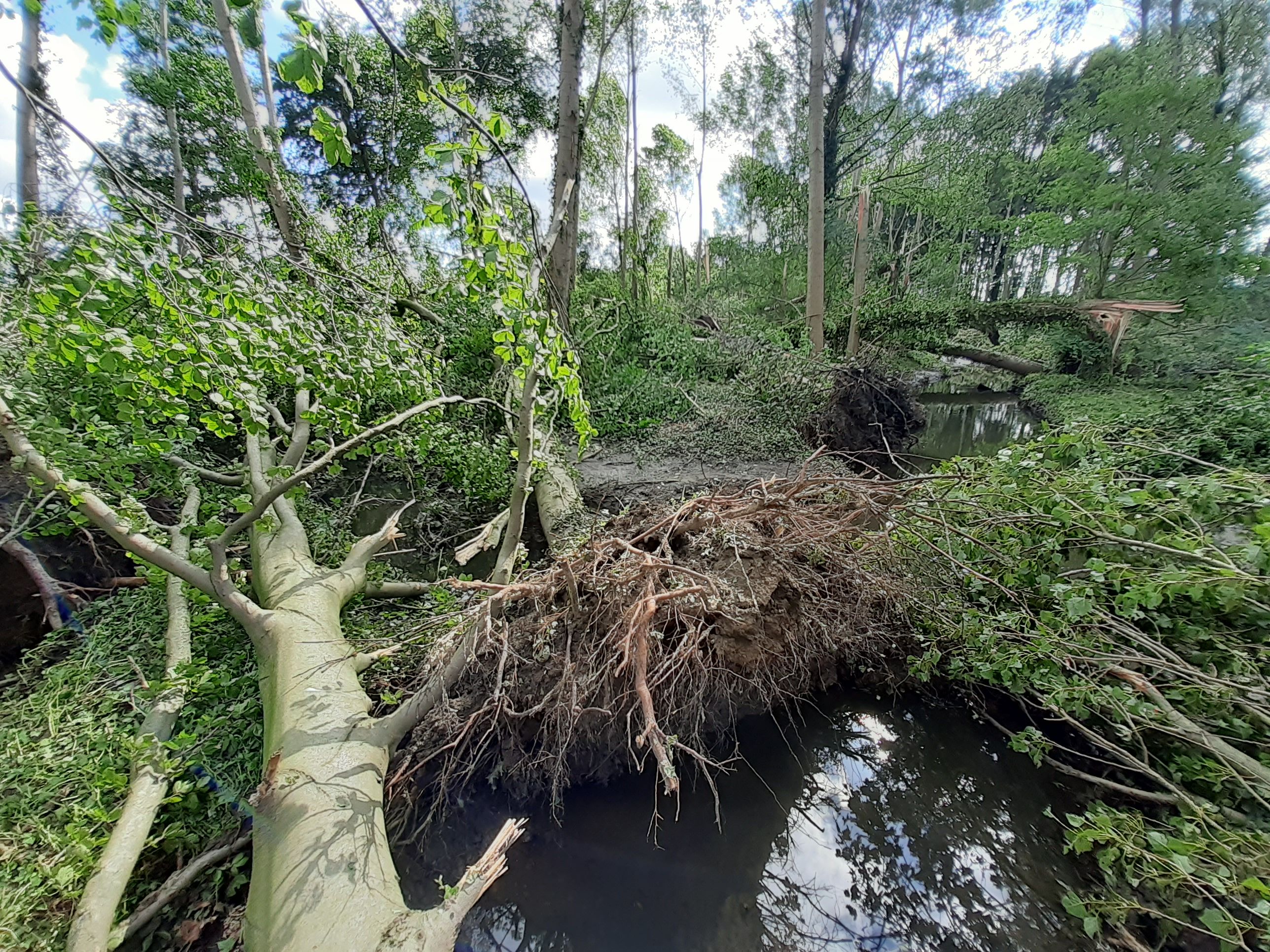 De storm van 9 juli richtte heel wat schade aan aan de Kleine Molenbeek en Birrebeek.