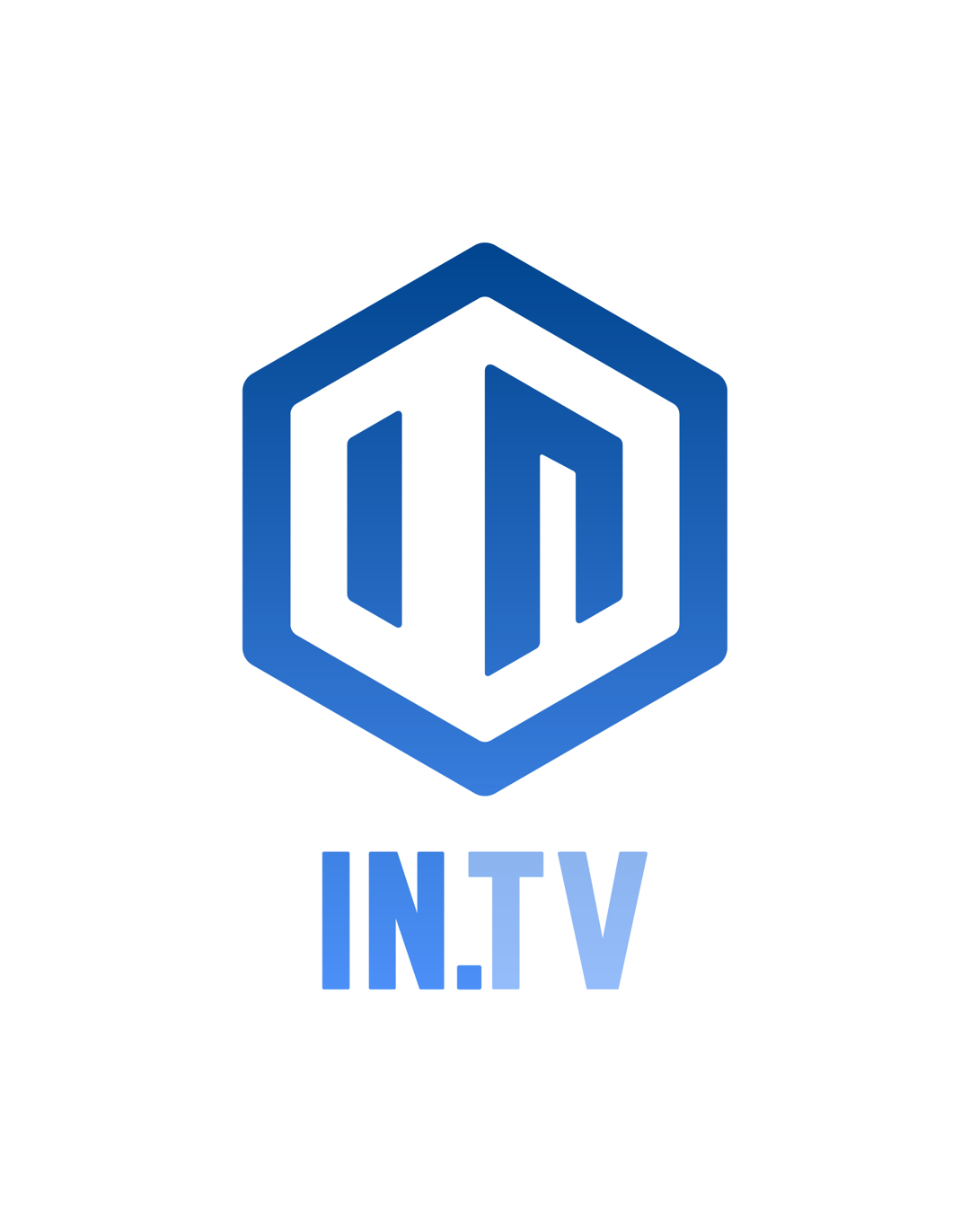 IN.TV Logo Assets