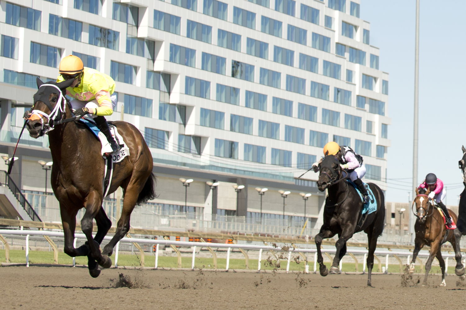 Mansetti and jockey Pietro Moran winning the Woodstock Stakes on April 27, 2025 at Woodbine (Michael Burns Photo)