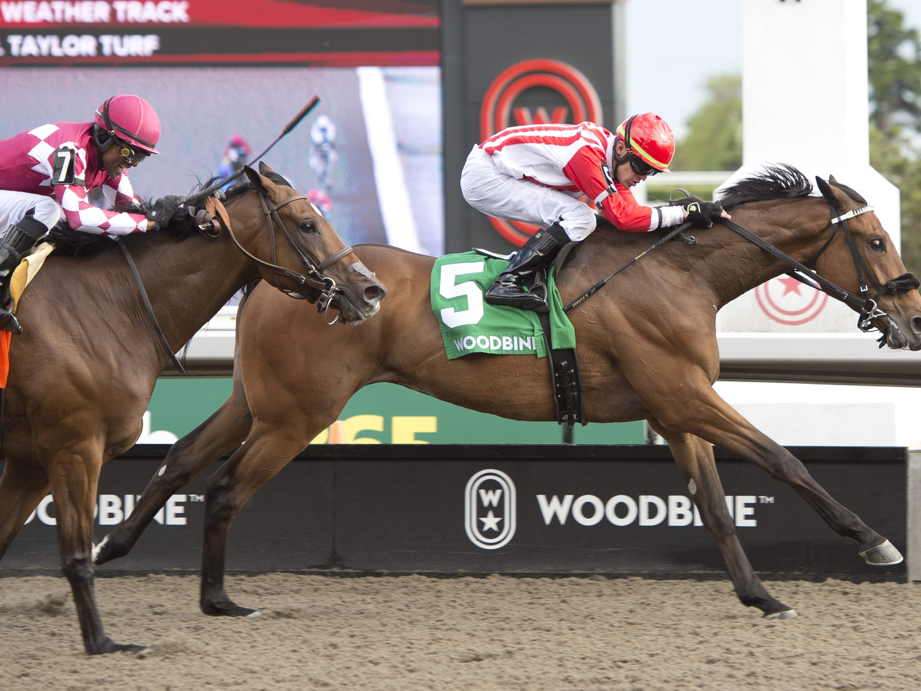 Classic Mo Town hits No. 1 in bet365 Eclipse Stakes (G2)