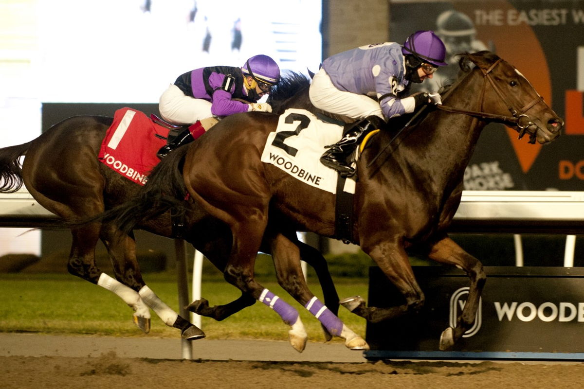 Artie's Storm pounced late to capture the Lake Ontario Stakes under David Moran at Woodbine. (Michael Burns Photo)