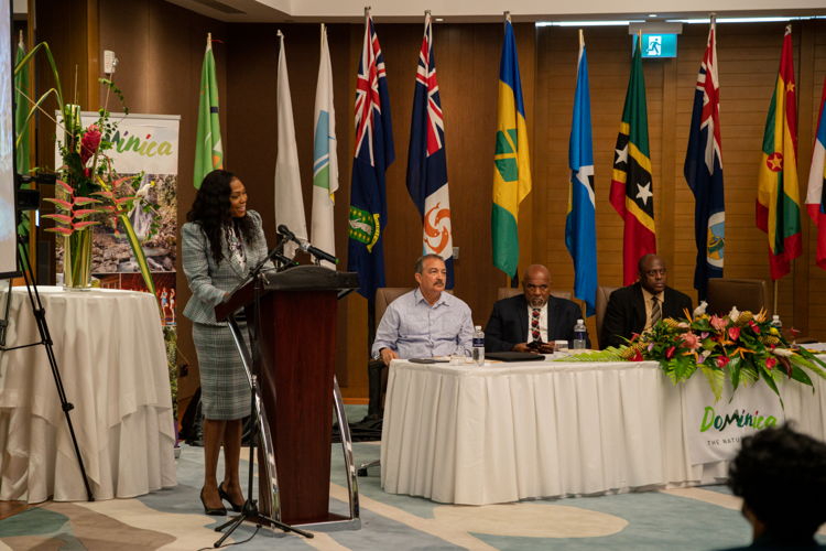 Chair OECS Council of Ministers: Tourism and Minister for Tourism, International Transport and Maritime Initiatives, Commonwealth of Dominica, Hon. Denise Charles 
