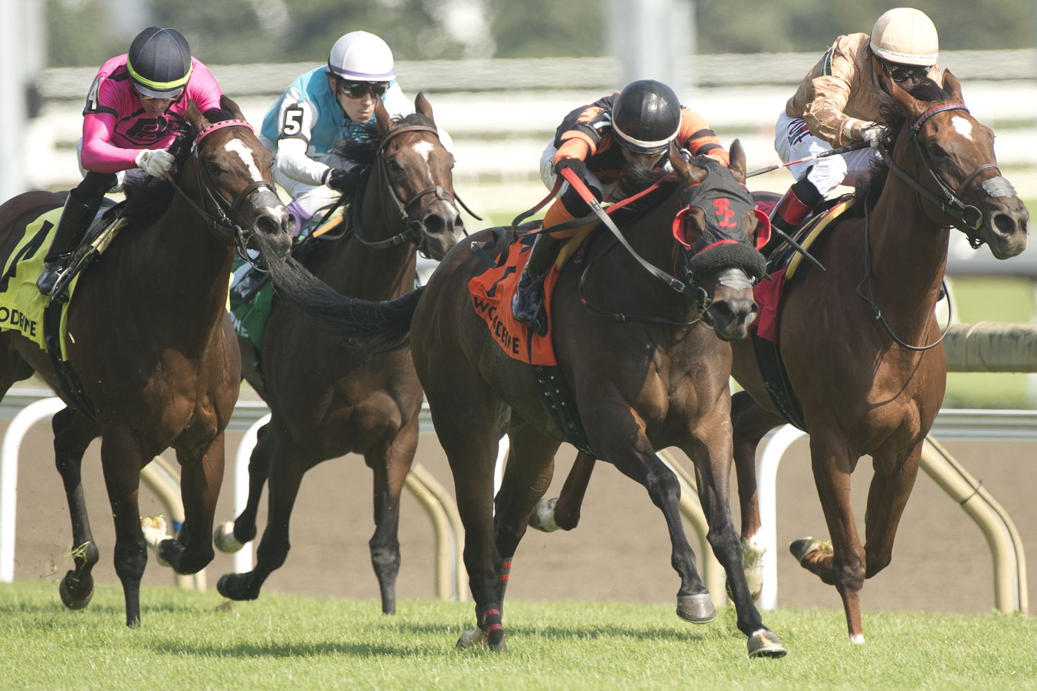 Canadian Sweetheart and jockey Leo Salles winning the Sweet Briar Too stakes on August 19, 2023 at Woodbine (Michael Burns Photo)