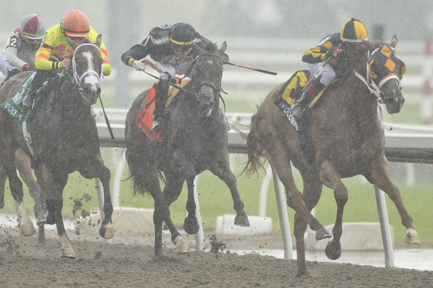 Living Magic and jockey Rafael Hernandez winning the My Dear Stakes on July 15, 2023 at Woodbine (Michael Burns Photo)