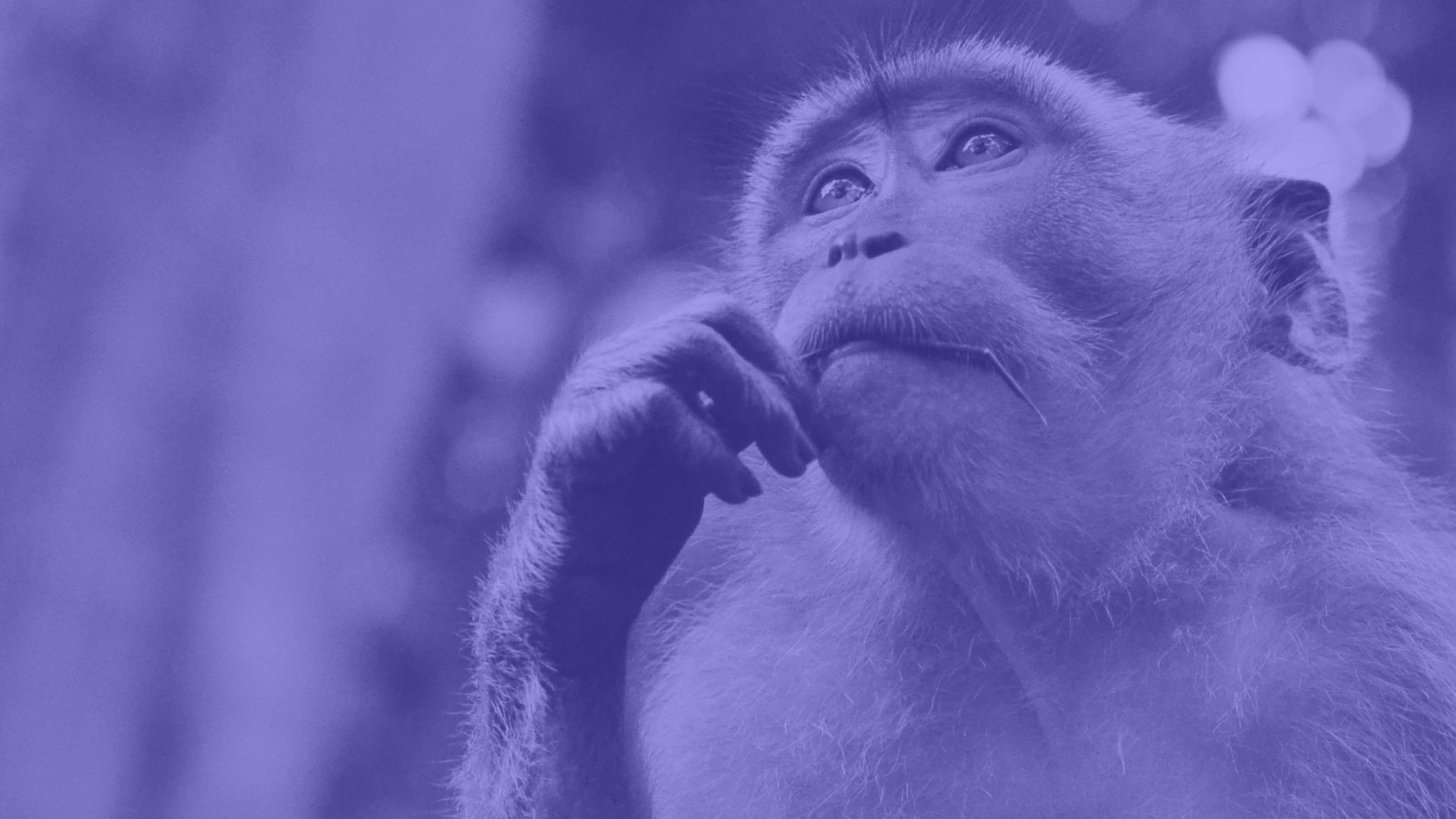 Media Pitch vs Press Release: What’s the Difference?