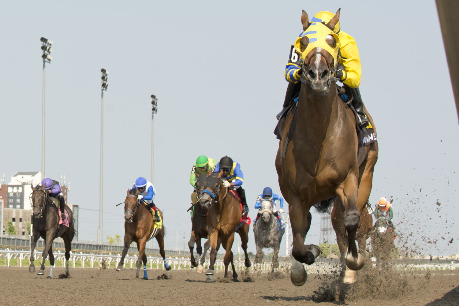 Patches O’Houlihan and Sofia Vives winning the 2024 Pink Lloyd Stakes at Woodbine (Michael Burns Photo)