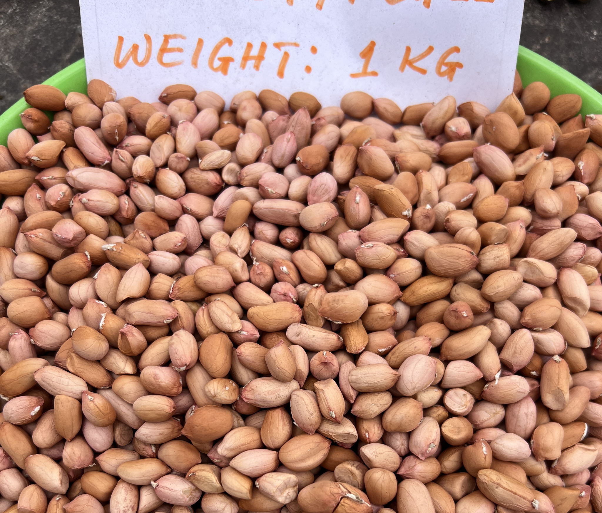 The new climate-resilient variety marks a significant boost for Malawi’s agricultural sector.