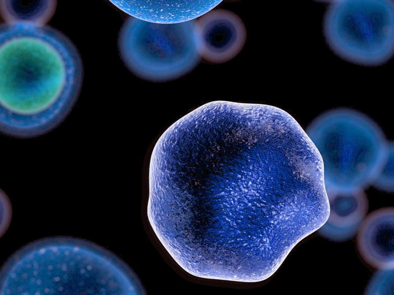 Therapeutic potential of a novel mixture of mRNA in nanoparticles overcomes tumor progression  