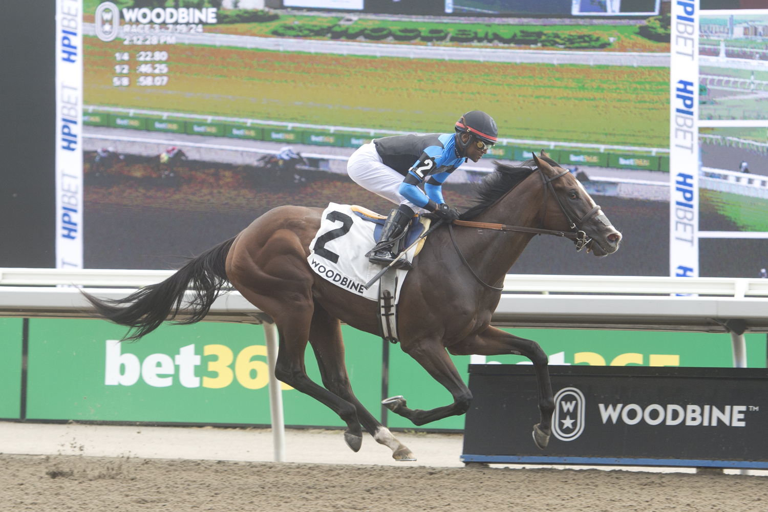 Mensa and jockey Patrick Husbands winning the Victoria Stakes on July 19, 2024 at Woodbine (Michael Burns Photo)