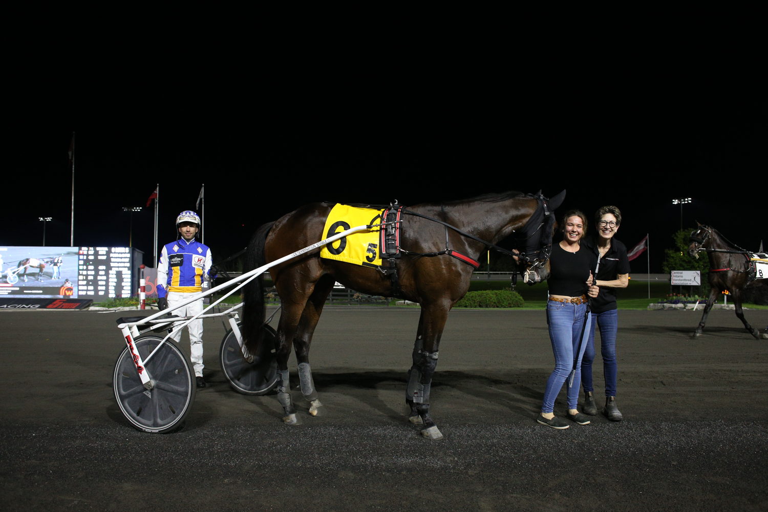 Drawn Impression in the winner's circle for the first Peaceful Way Elimination on August 19, 2023 at Woodbine Mohawk Park (New Image Media)