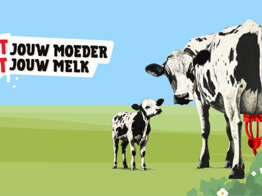 GAIA trekt door België met een gigantisch melkkarton om de wreedheid van de zuivelindustrie aan te klagen