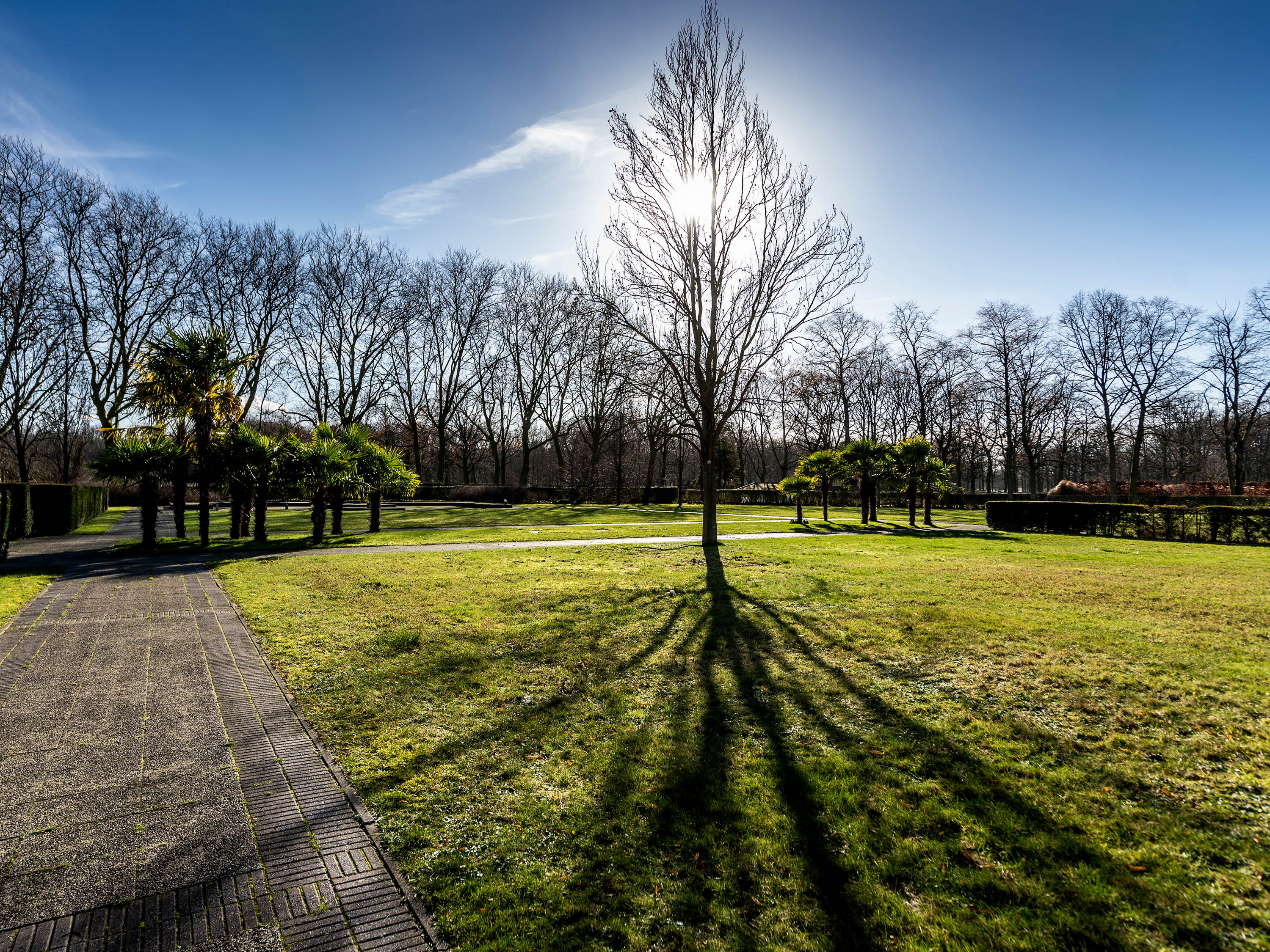 Maand van de begraafplaatsen in Antwerpen