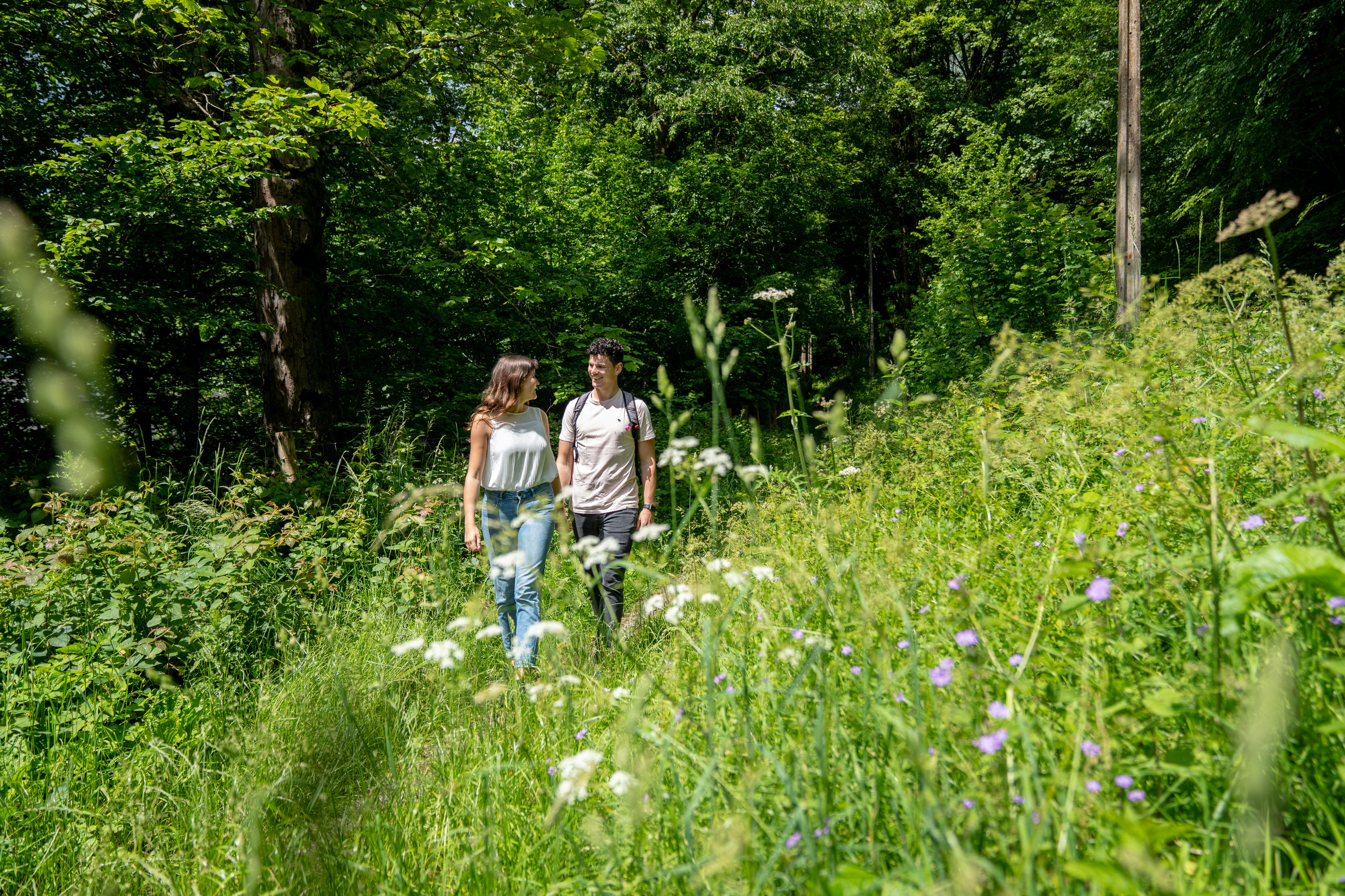 Landal Nature Parc Saint Hubert