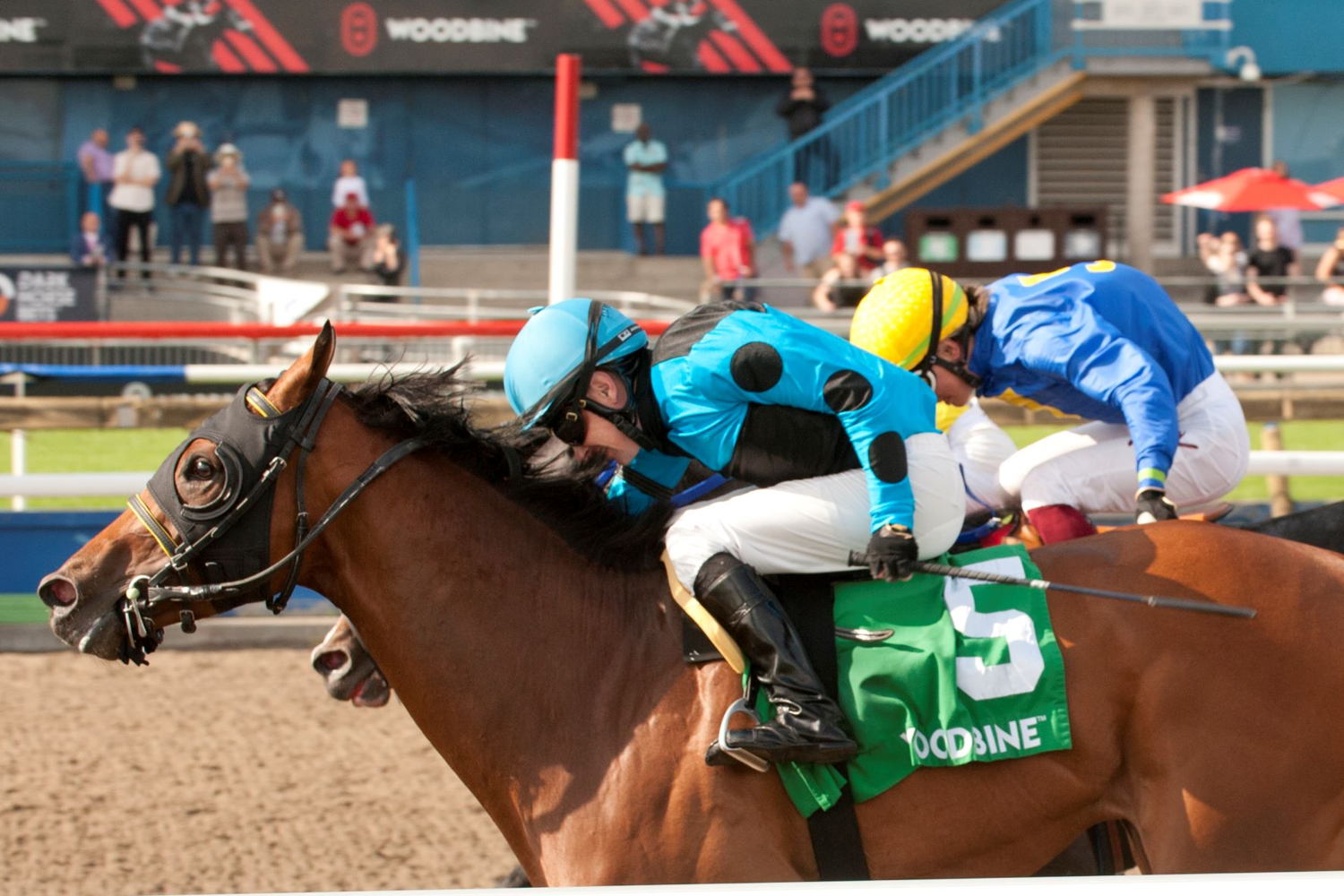 The Minkster, and jockey David Moran, held off a late challenge to capture the Queenston Stakes on Sunday at Woodbine. (Michael Burns Photo) 