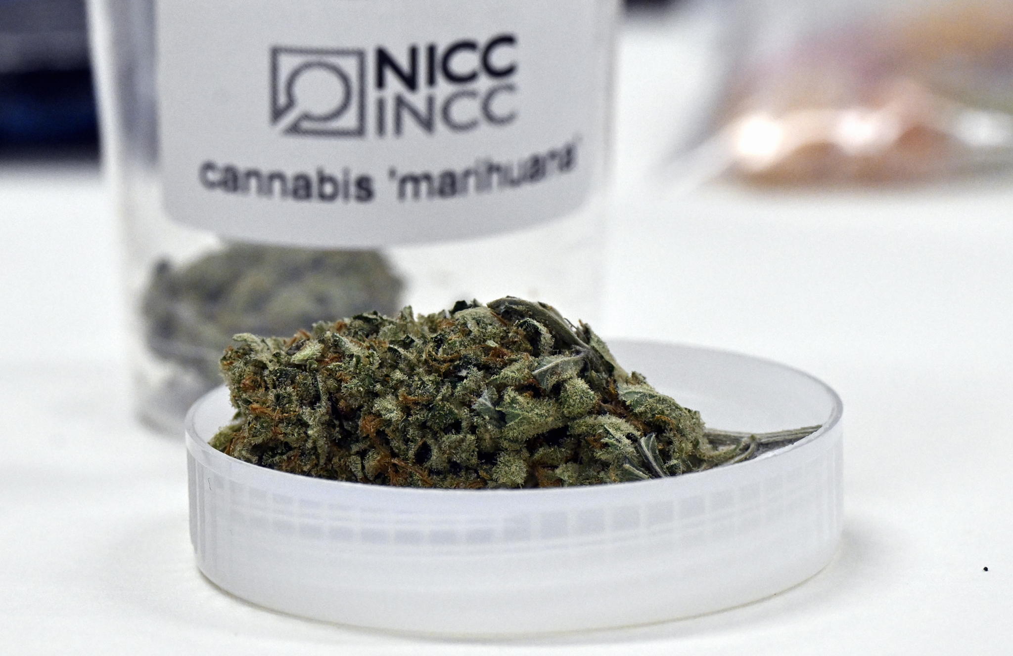 13 suspects arrested in investigation into cannabis trafficking from US