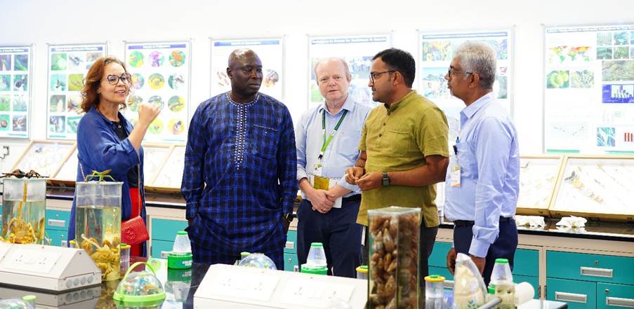 Dr Ismahane Elouafi, Executive Managing Director of CGIAR, visits the ICRISAT Insect Museum
