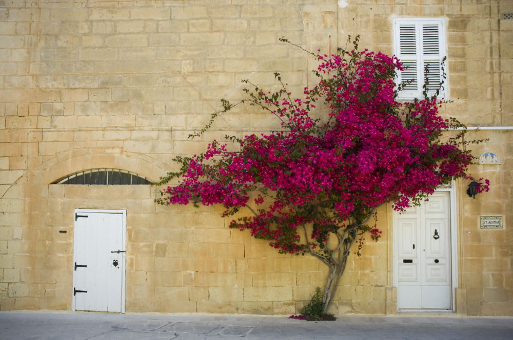 Mdina