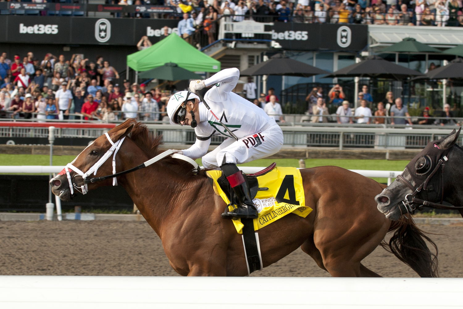 Caitlinhergrtness and jockey Rafael Hernandez winning the 165th King's Plate on August 23, 2024 at Woodbine (Michael Burns Photo)